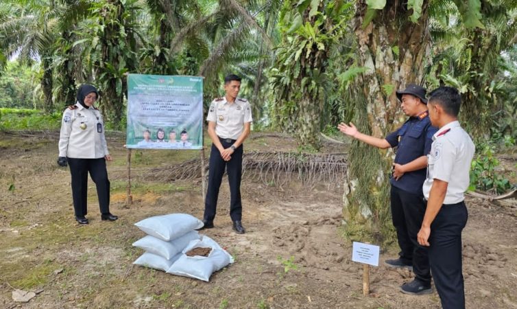 Lapas Pangkalpinang Uji Coba Kompos FABA di Belitung, 10 Pohon Sawit Jadi Objek Perdana Dukung Ketahanan Pangan