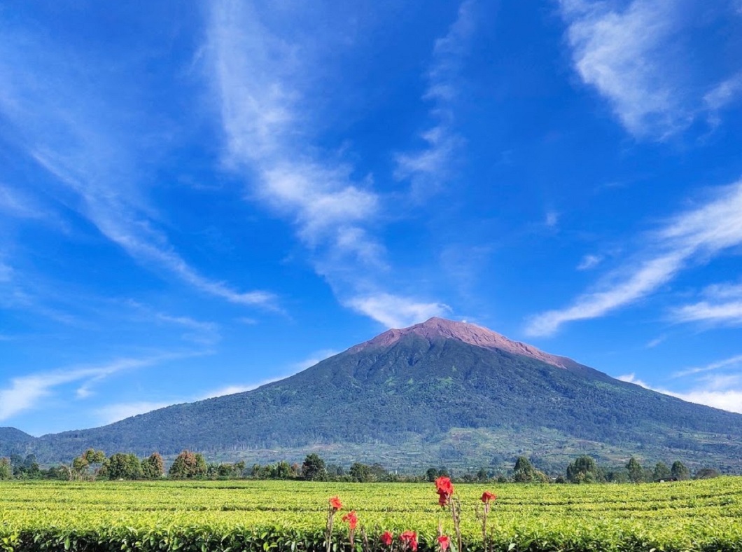 Prakiraan Cuaca Jambi Sabtu 18 Juli 2026: Sebagian Besar Berawan, Waspada Hujan Ringan di Sungai Penuh
