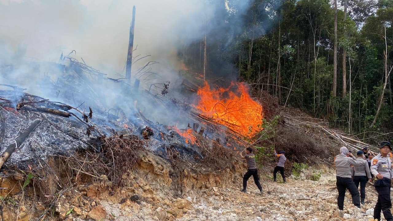 35 Personel Gabungan Polda Kaltara Padamkan Kebakaran Lahan Gambut 2 Hektare di Tanjung Selor, Api Merambat ke Tebing