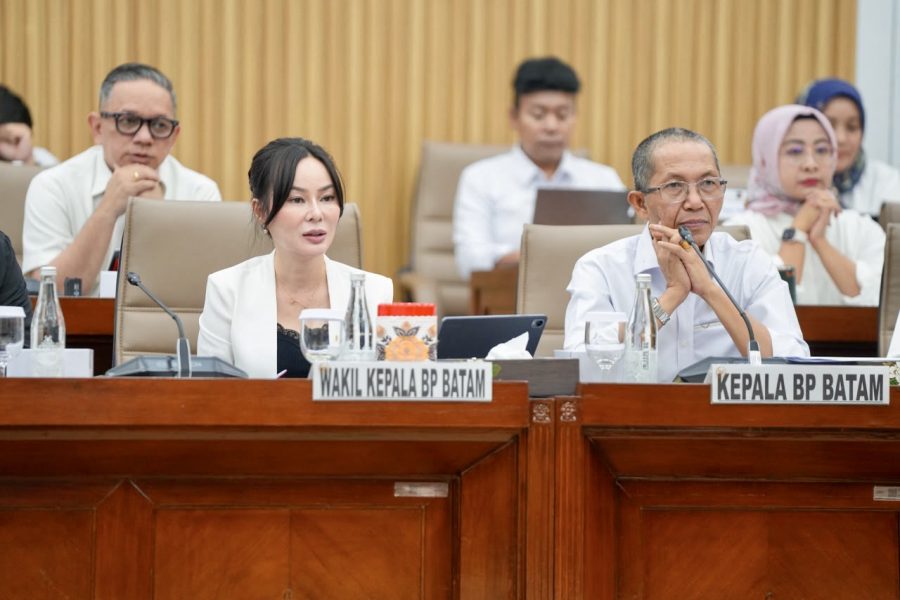 Investasi Batam Semester I Tembus Rp 29,89 Triliun, Serap 40.943 Tenaga Kerja