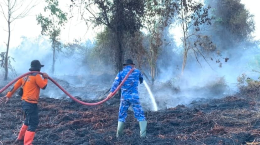 Karhutla Kobar Makin Luas, Danlanud Iskandar Imbau Warga Pakai Masker dan Waspadai Titik Panas