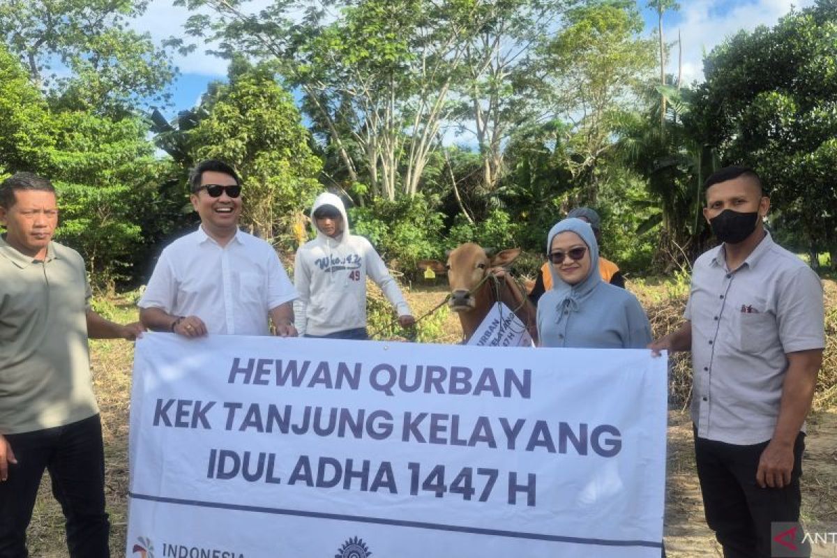 Warga Desa Keciput Terima Sapi Kurban dari KEK Tanjung Kelayang, Tradisi Idul Adha yang Terjaga