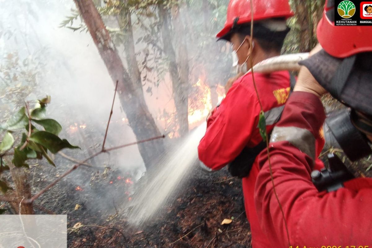 Manggala Agni Padamkan Dua Titik Karhutla di Hutan Lindung Bangka, Lahan Gambut 2 Hektare Terbakar