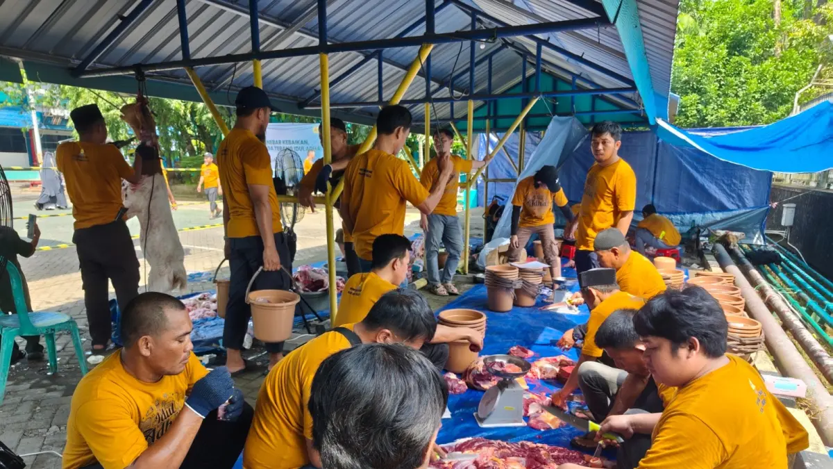 Pegawai PLN UIP3B Sulawesi dan Relawan YBM Potong 1.200 Paket Daging Kurban di Manado, Salurkan ke Warga Sulawesi Utara