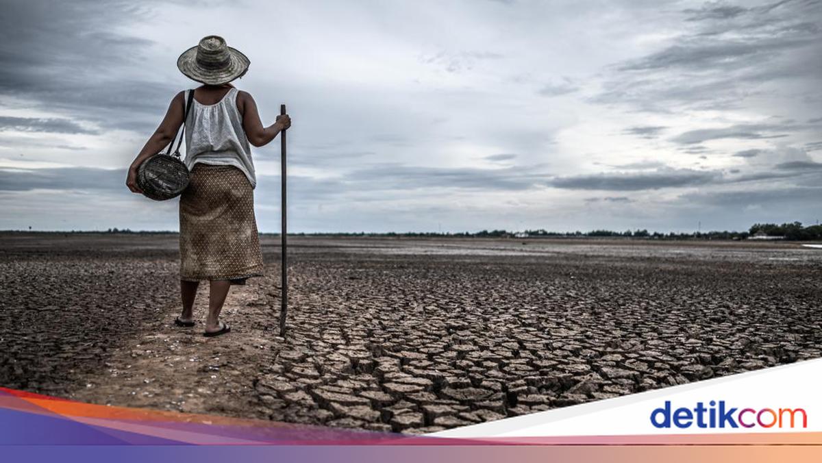 El Nino Kuat Diprediksi Bertahan, BMKG Sebut Puncak Kemarau Sumsel Terjadi Agustus-September