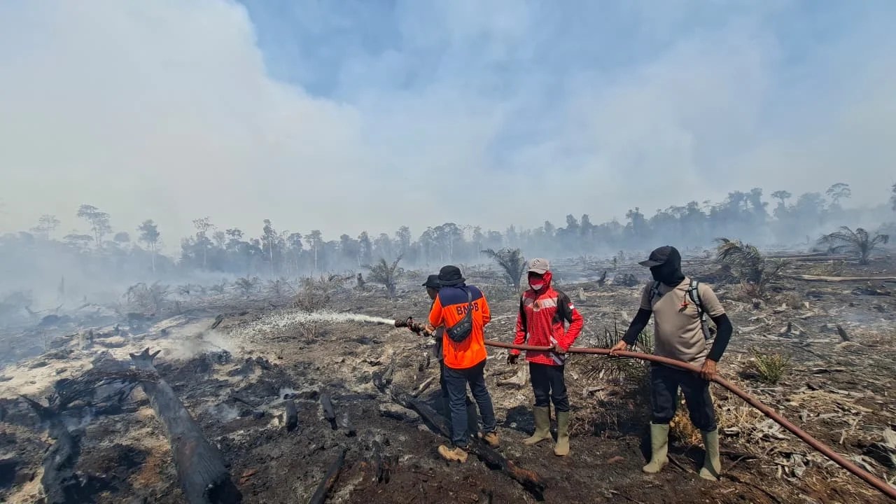 Kebakaran Lahan di Nagan Raya Hanguskan 95 Hektare, Petugas Terkendala Angin Kencang dan Sumber Air