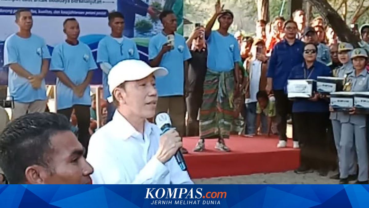 Jokowi Tinjau Budidaya Rumput Laut di Kupang, Janji Perbaiki Rak Jemur dan Salurkan Bibit Unggul Bertahap