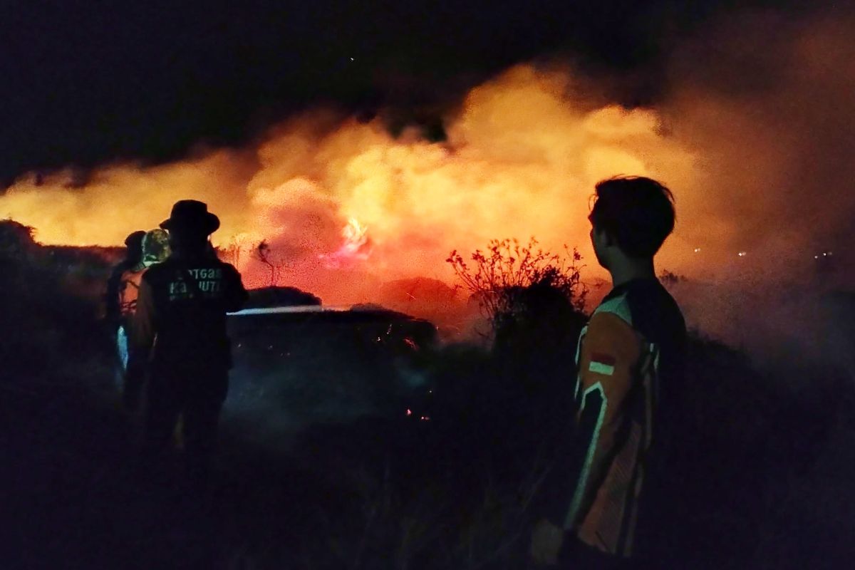 Karhutla di Tapin Hanguskan 560 Hektare dalam 19 Hari, 129 Kejadian dan 2.899 Titik Panas Terpantau