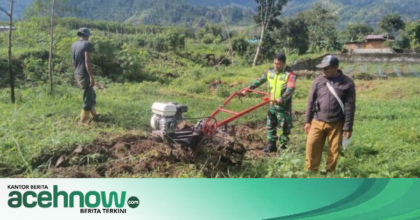 Babinsa Koramil 04/Bintang Bantu Warga Olah Lahan Cabai di Aceh Tengah, Dorong Ketahanan Pangan