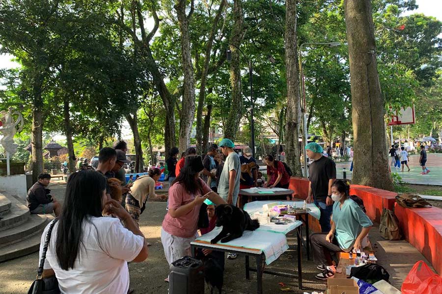 Kasus Gigitan Hewan Penular Rabies di Bali Tembus 28.980, Tiga Orang Meninggal Sepanjang 2026