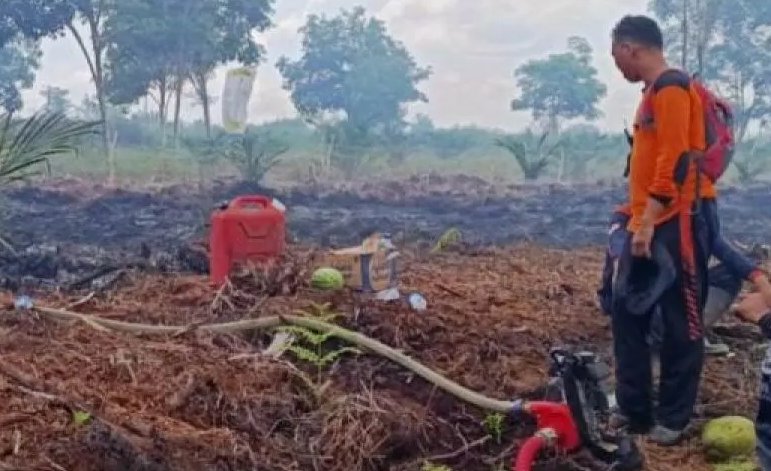 Karhutla di Aceh Barat Meluas ke Tiga Kecamatan, 9 Hektare Lahan Terbakar dan Ganggu Pernapasan Warga