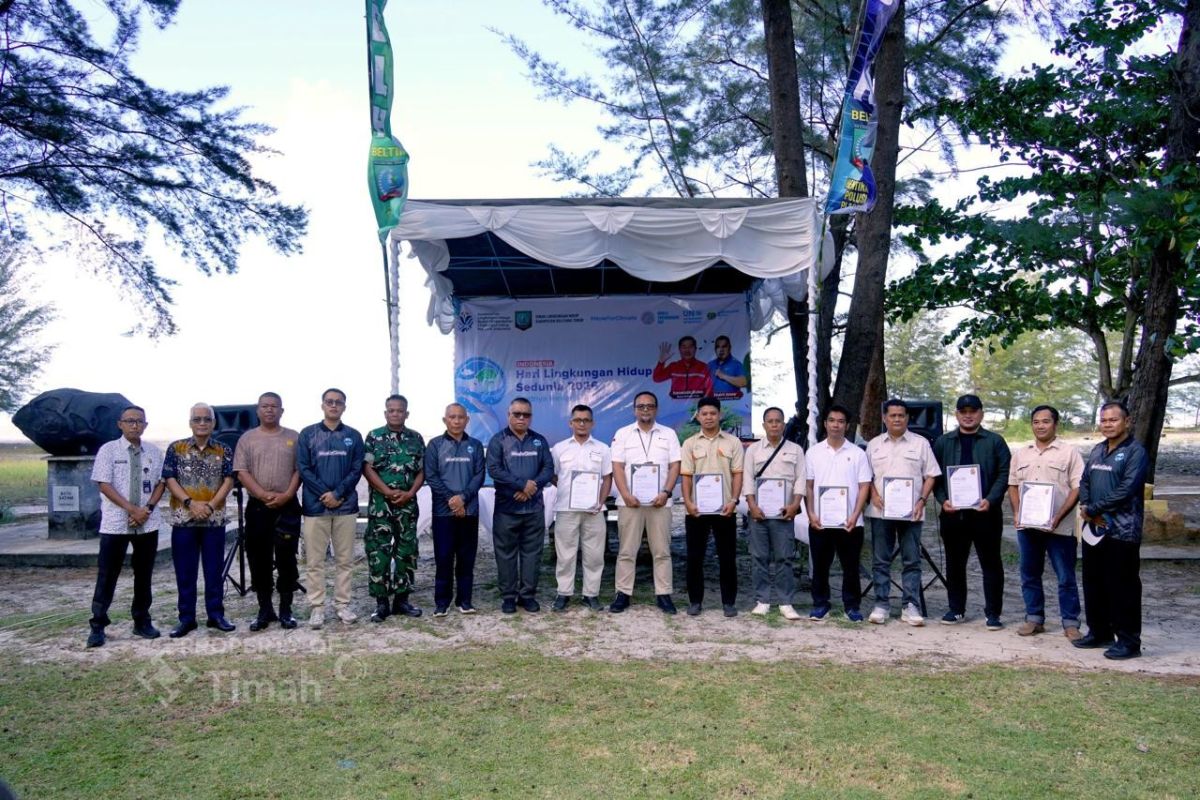 DLH Belitung Timur dan PT Timah Tanam Ratusan Pohon Cemara Laut di Pantai Lalang untuk Cegah Abrasi yang Kian Mengkhawatirkan