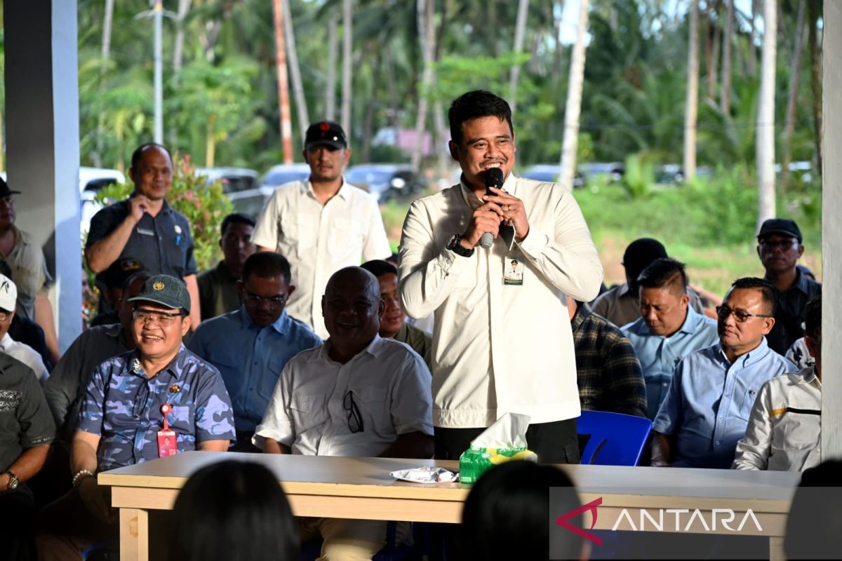 Pemprov Sumut Siapkan Rp 2 Miliar untuk Rumah Produksi Kelapa di Nias Utara, Target Produksi Kopra dan Arang Batok