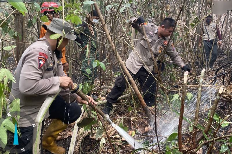 Karhutla Kapuas Hanguskan 2.729 Hektare Lahan, 318 Kejadian Tercatat Sejak Januari