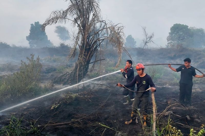 BPBD Kaltara Petakan Wilayah Rawan Karhutla di 5 Kabupaten Kota, Ini Daftar Daerah Terawasi