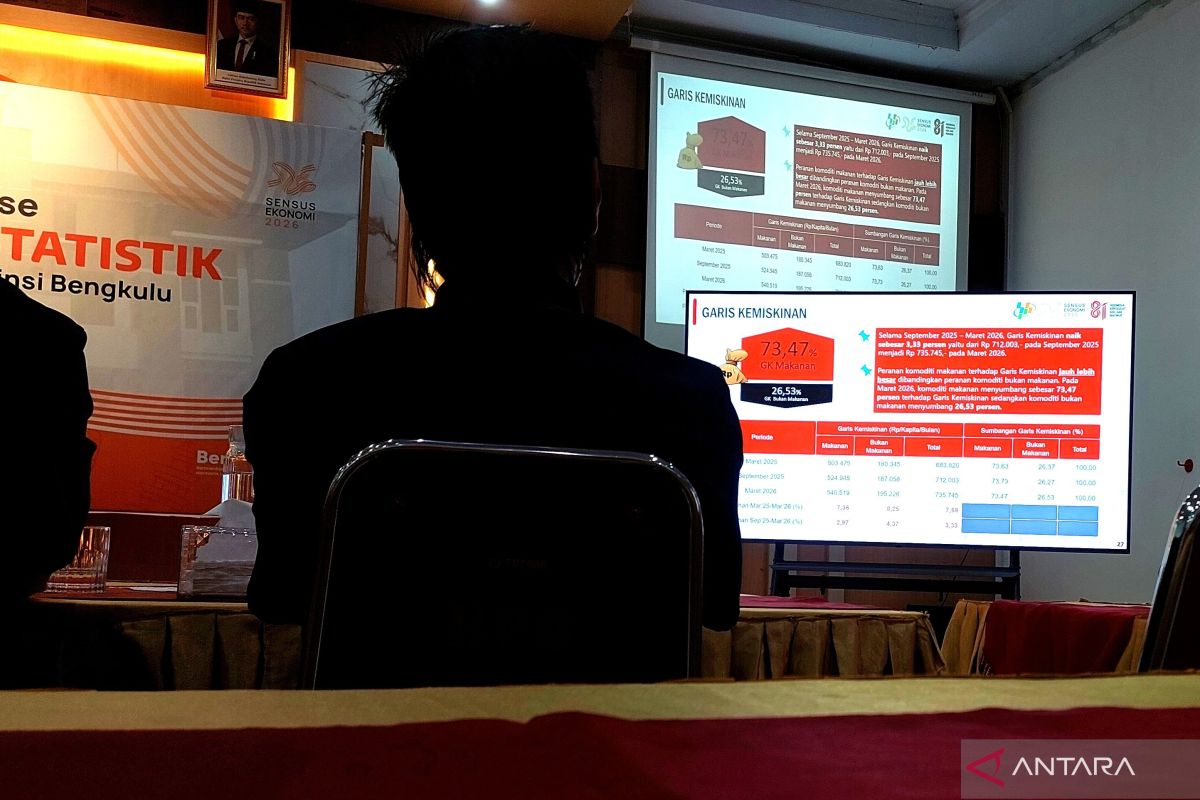 BPS Bengkulu Sebut 3 Kunci Tekan Kemiskinan: Daya Beli, Lapangan Kerja, dan Produktivitas Pertanian