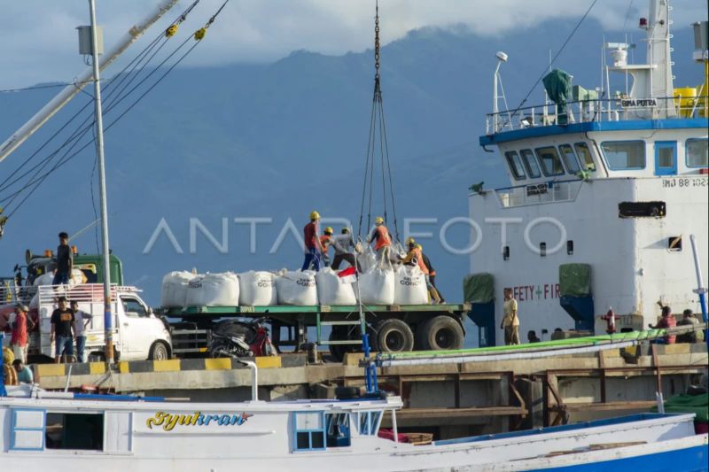 BPS Sulteng Catat Bongkar Muat Barang Laut Capai 109,18 Ribu Ton pada Agustus 2026