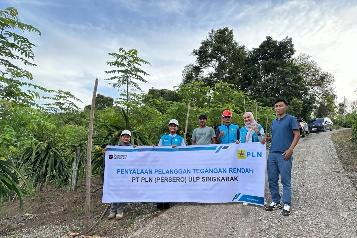 PLN Solok Aliri Listrik ke Kebun Buah Naga di Singkarak, Petani Bisa Panen Sepanjang Tahun