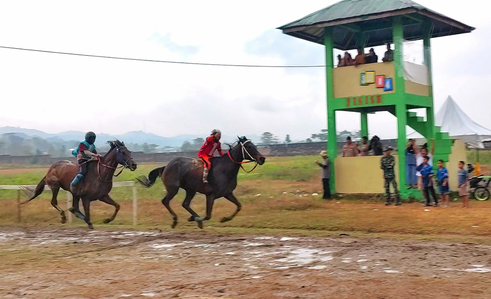 604 Kuda Berlaga di Pacuan Kuda Sumba Barat, Rekor Dunia Pecah dan Venue Disiapkan untuk PON XXII 2028