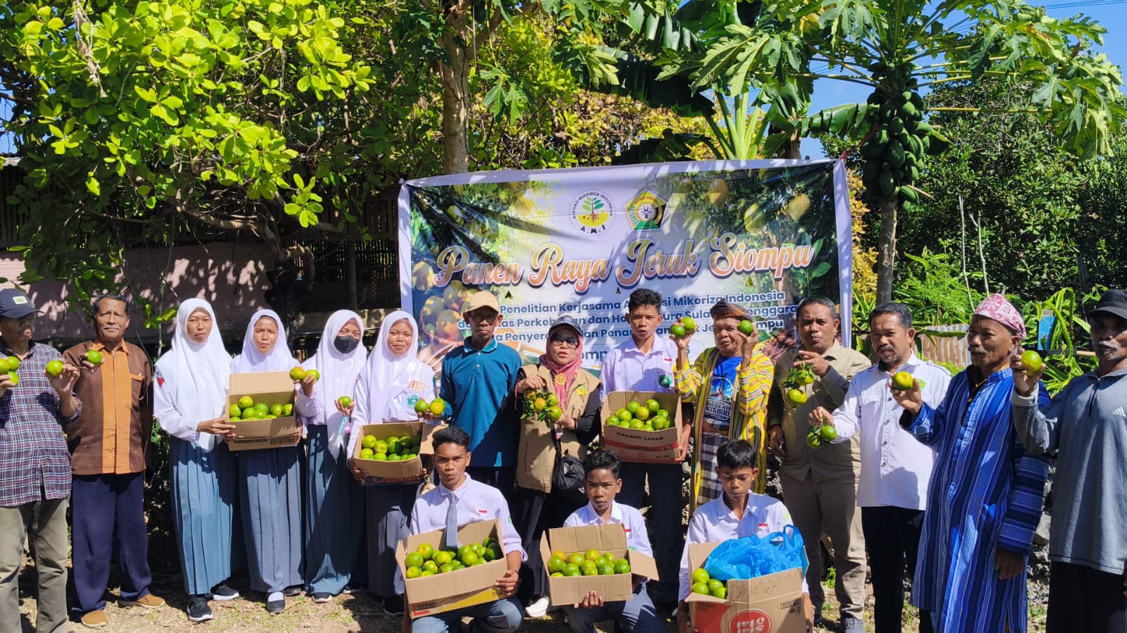 500 Pohon Jeruk Siompu di Biwinapada Mulai Berbuah, AMI dan Pemprov Sultra Panen Raya Perdana