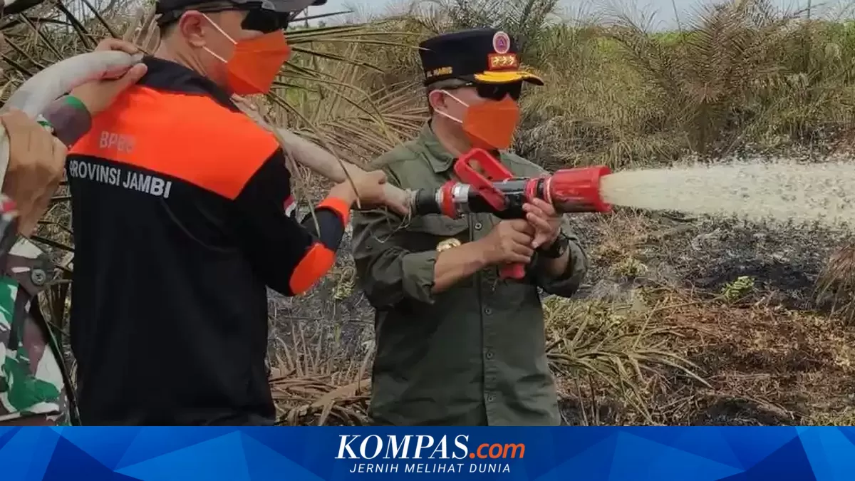 Karhutla Gambut di Muaro Jambi Tembus 50 Hektare, Gubernur Turun ke Lokasi saat Water Bombing Terkendala Angin