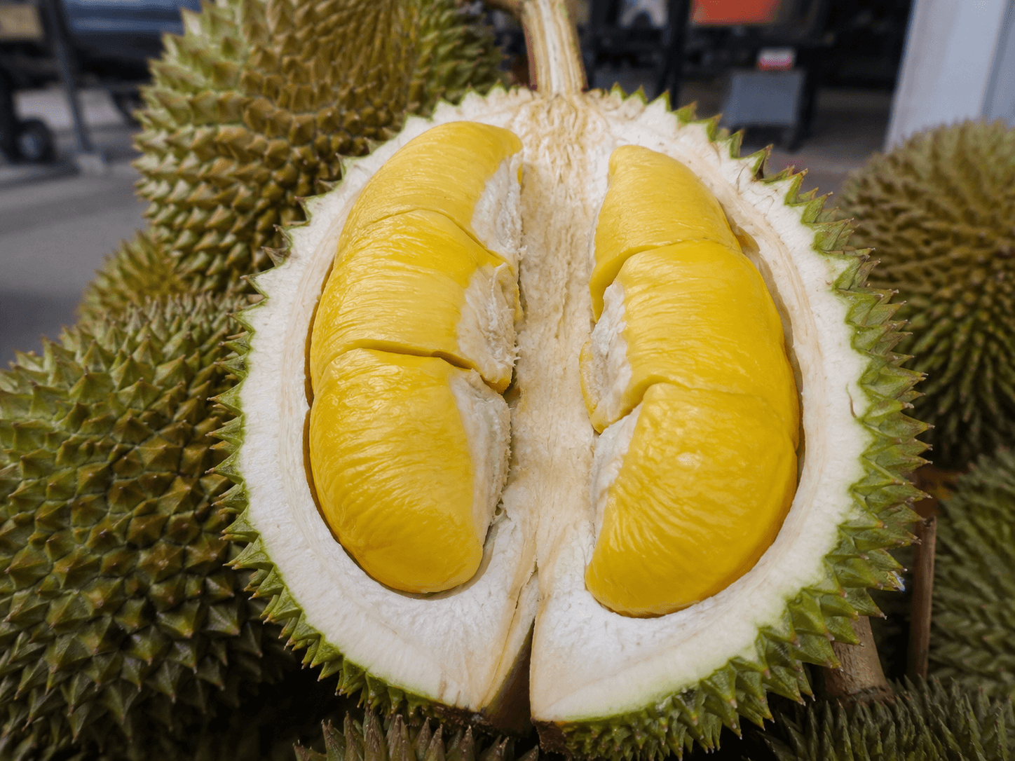 7 Jenis Durian Paling Populer di Indonesia, dari Musang King hingga Durian Palembang yang Kini Diburu Kolektor