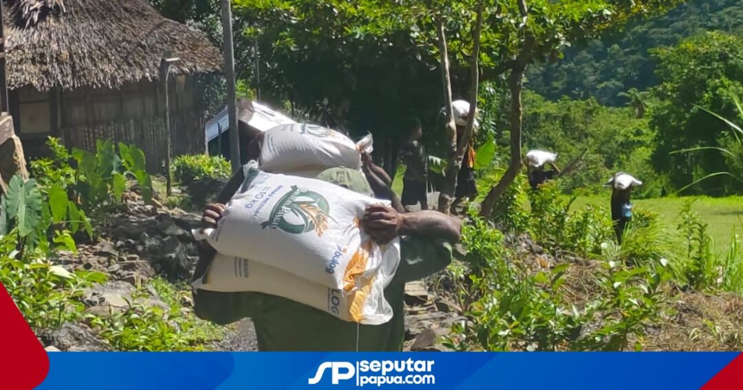 Bulog Papua Hadapi Tantangan Cuaca Ekstrem dan Medan Berat Salurkan Bantuan Pangan ke Wilayah 3T, Ongkos Kirim Capai Rp 60 Ribu per Kilogram