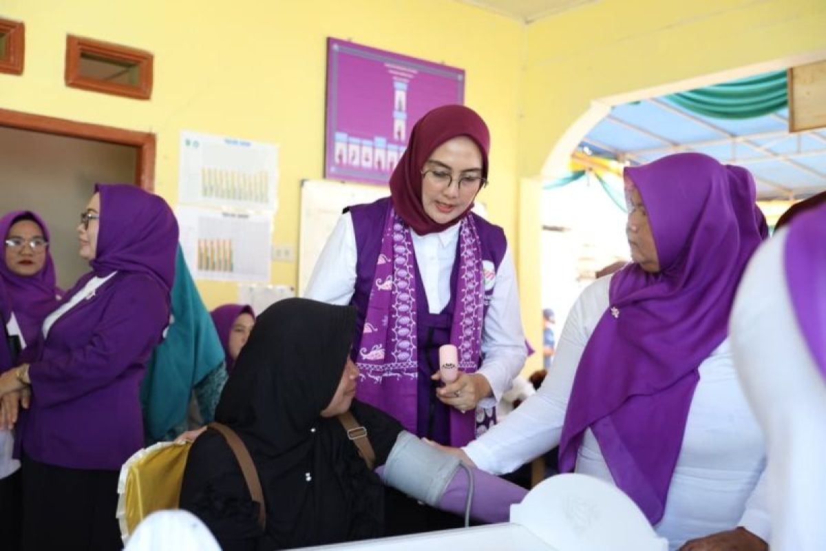 Posyandu di Bangka Belitung Kini Tak Hanya Urus Balita, Kader Diminta Catat Anak Putus Sekolah hingga Warga Miskin