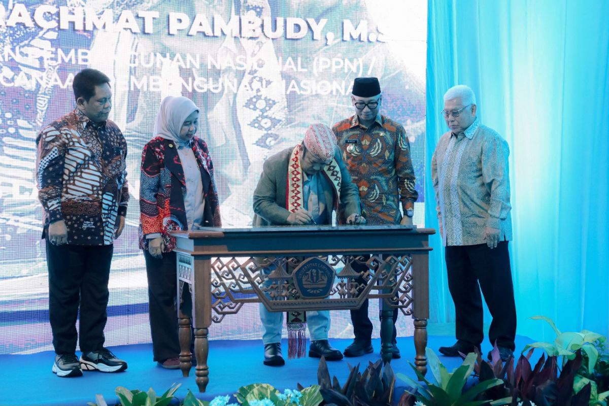 Harga Singkong Petani di Lampung Naik Jadi Rp2.200, Pemprov dan Unila Gagas National Cassava Center