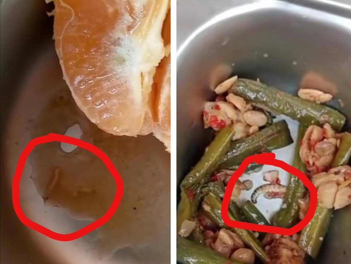 2 Desa di Musi Rawas Tolak Penyaluran MBG Usai Cacing dan Ulat Ditemukan di Makanan Siswa, SPPG Minta Maaf