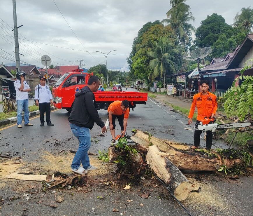 Ibu Hamil Tertimpa Pohon Tumbang di Pesisir Selatan Saat Bonceng Dua Anak, Alami Patah Tulang Lengan
