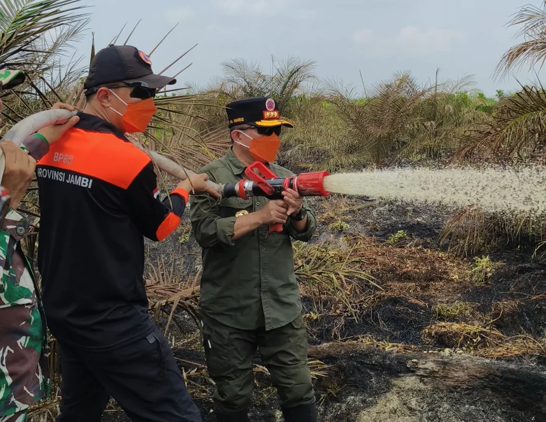 Gubernur Jambi Al Haris Turun ke Lokasi Karhutla Air Merah: Api 3 Hari Bakar Gambut, 50 Hektare Terancam Meluas