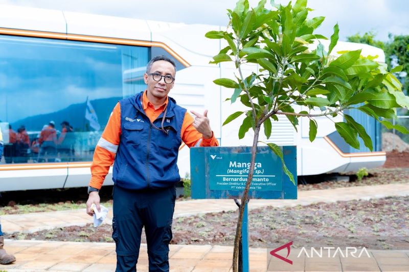 Vale Indonesia Catat Penjualan 2 Juta Ton Bijih Nikel di Morowali pada Semester I 2026, Tandai Tonggak Hilirisasi