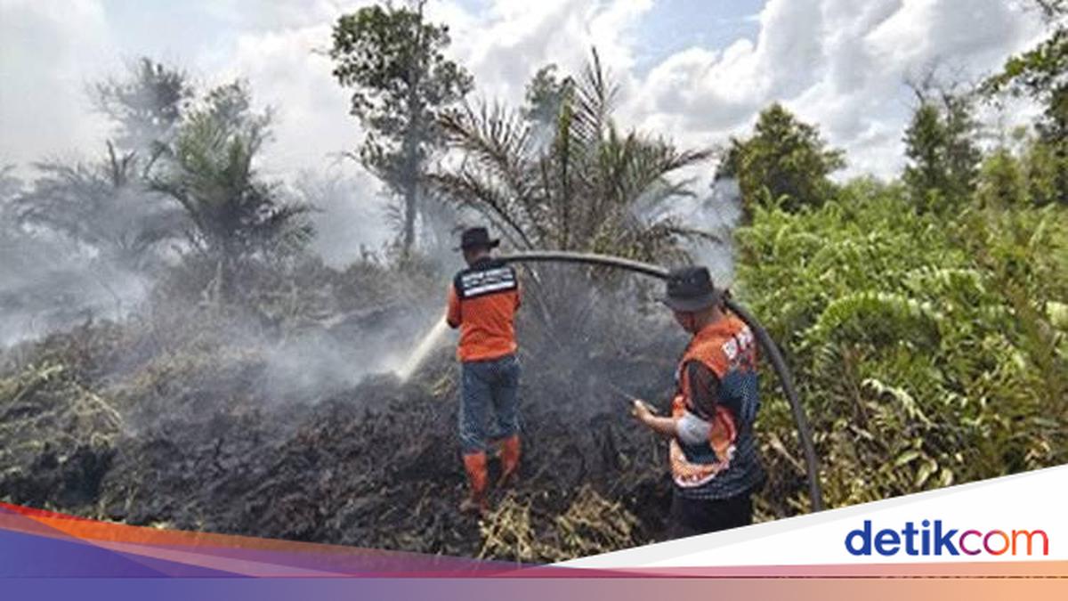Karhutla di Kalteng Capai 2.915 Hektare hingga Juli 2026, Status Siaga Darurat Diperpanjang hingga 31 Oktober