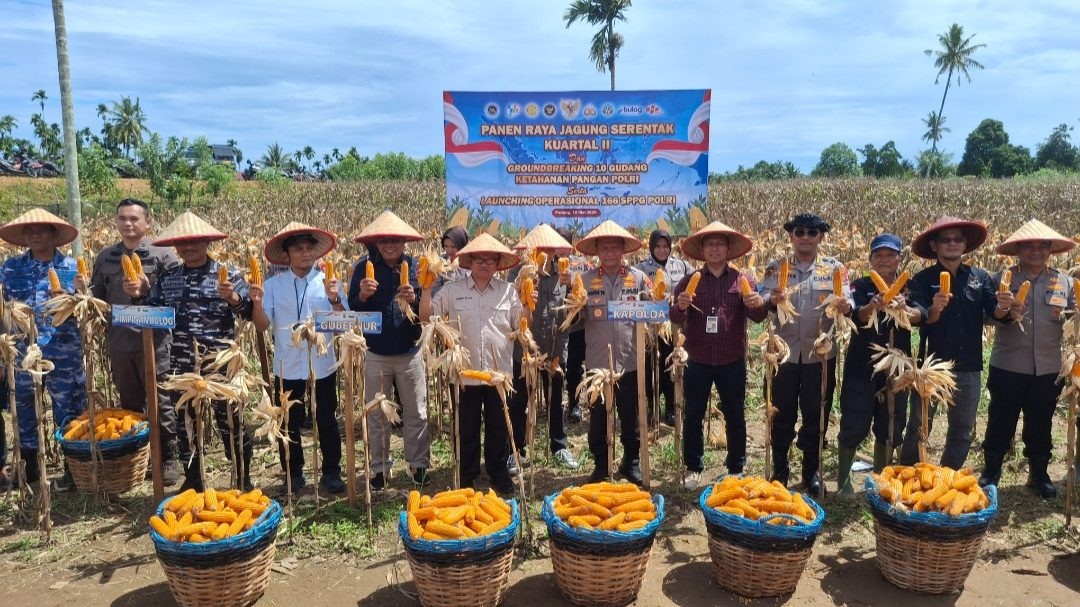 Polda Sumbar Panen 12 Ton Jagung dari Lahan Tidur, Dorong BRI Percepat KUR Petani Tutup Defisit 820.000 Ton