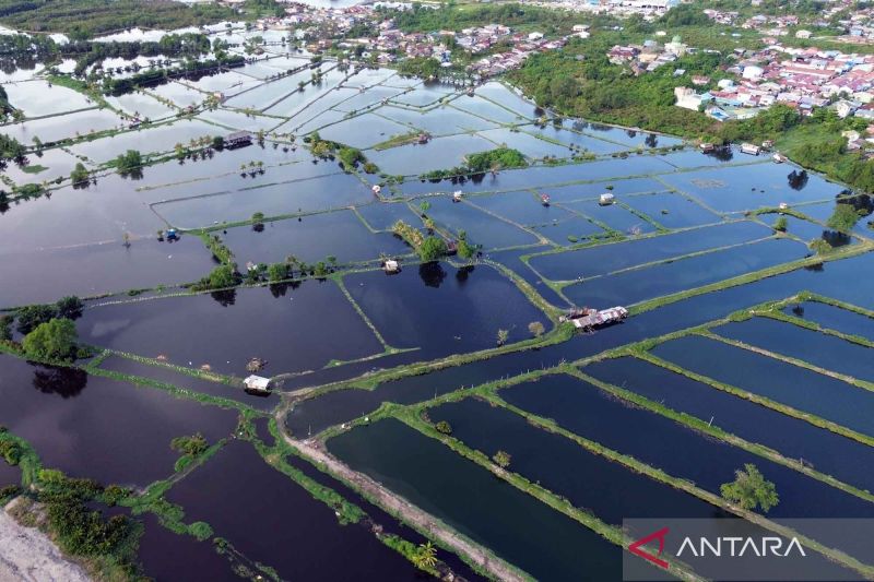 Warga Pesisir NTB Diminta Waspada Banjir Rob 12 Hari ke Depan, Puncaknya Saat Purnama Biru 31 Mei 2026