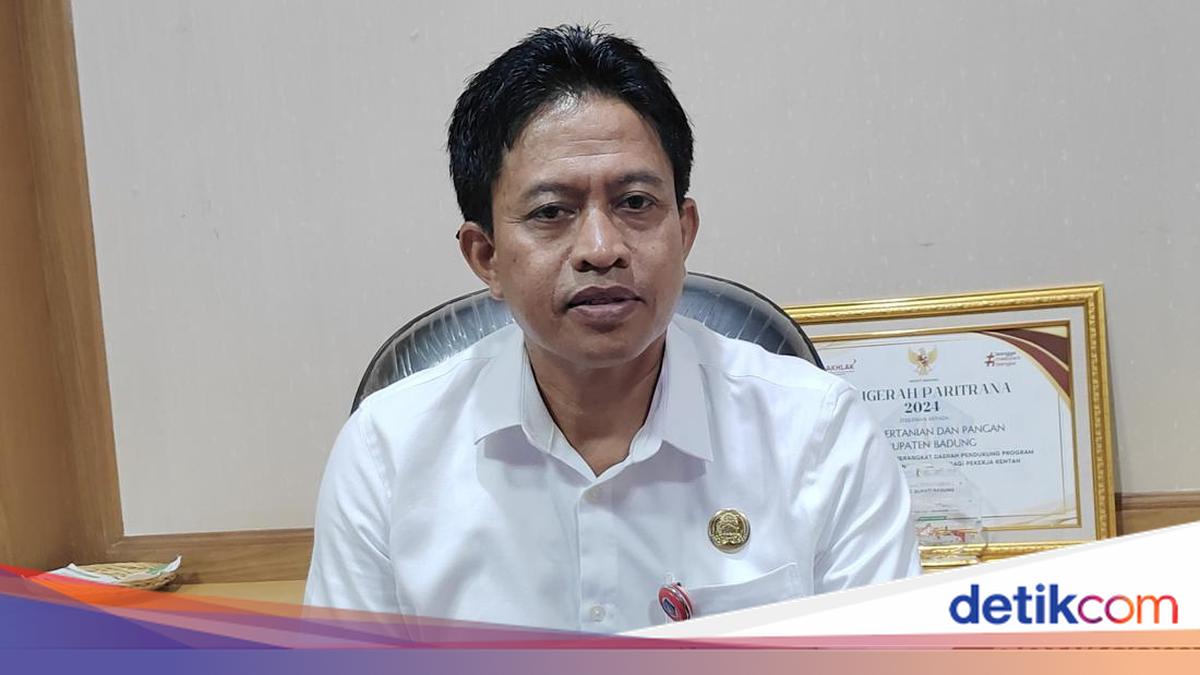 Pemkab Badung Siapkan Lahan 42 Hektare untuk Tanam Cabai, Target Produksi 420 Ton hingga Akhir 2026