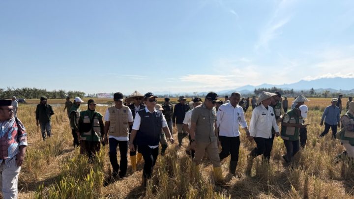 Pupuk Indonesia Pastikan Stok 2.371 Ton Pupuk Bersubsidi Aman di Barru, Dukung Panen Raya dan Target Swasembada Pangan