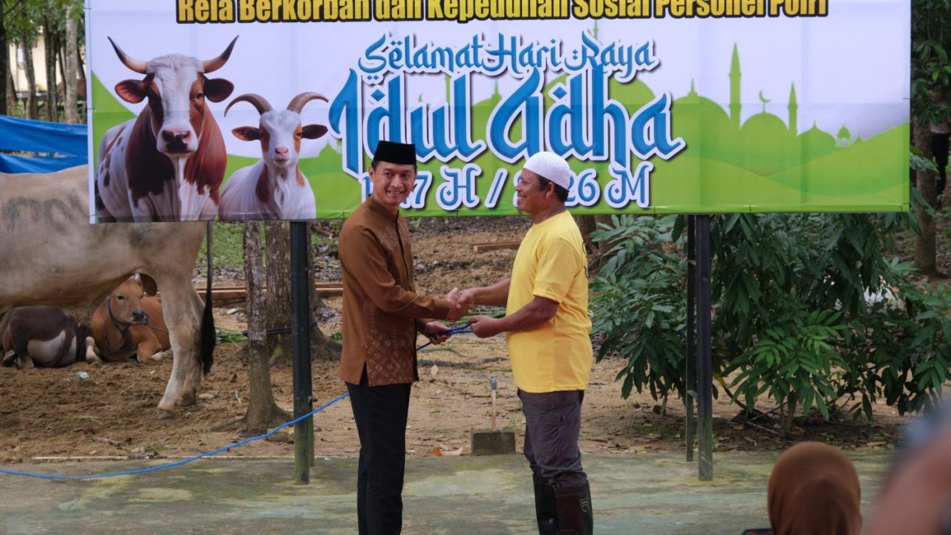 Polda Sulawesi Tenggara Sembelih 362 Sapi dan 11 Kambing untuk Kurban, 1.000 Kupon Daging Dibagikan ke Warga dan Ponpes