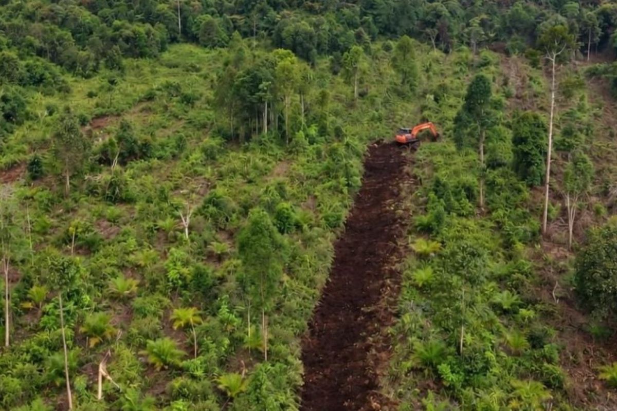 PT RHM Bangun Sekat Bakar 890 Meter di Muba, 12 Ekskavator Dikerahkan Kendalikan Karhutla