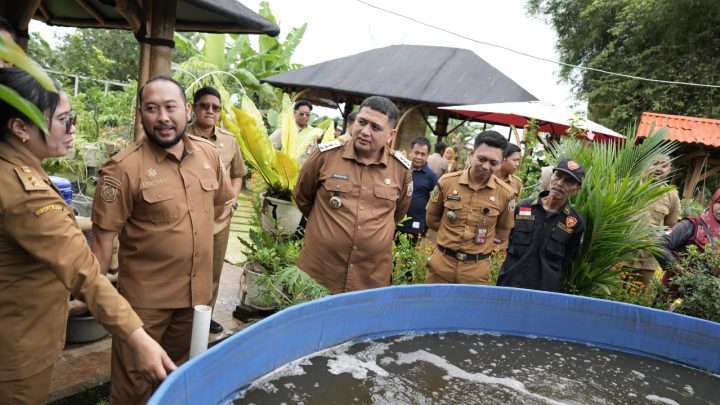 Wali Kota Makassar Dorong Warga Manfaatkan Pekarangan Lewat Urban Farming Terintegrasi, Hasil Panen Terserap Program MBG