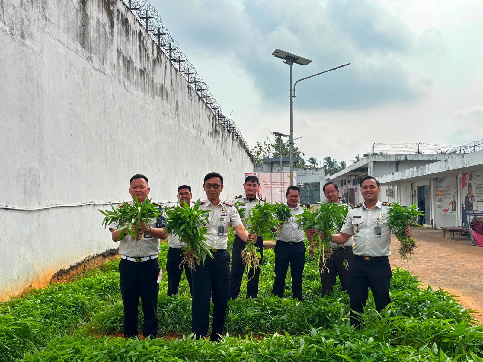 Rutan Kelas I Palembang Panen 72,2 Kilogram Kangkung, Hasil Pembinaan Warga Binaan