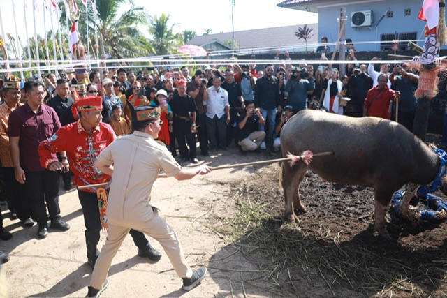 Gubernur Kalteng Agustiar Sabran Hadir di Puncak Ritual Tiwah Upun Gawi, 20 Jenazah Diantarkan ke Lewu Tatau