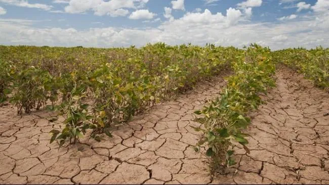 BMKG Imbau Warga Sumsel Tidak Bakar Lahan, El Nino Kuat Diprediksi Makin Ekstrem hingga September 2026