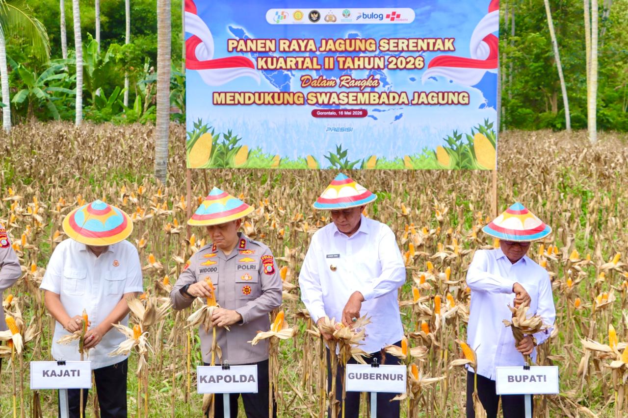Kapolda Gorontalo Pimpin Panen Raya Jagung di Bone Bolango, Target Swasembada Nasional Kuartal II 2026