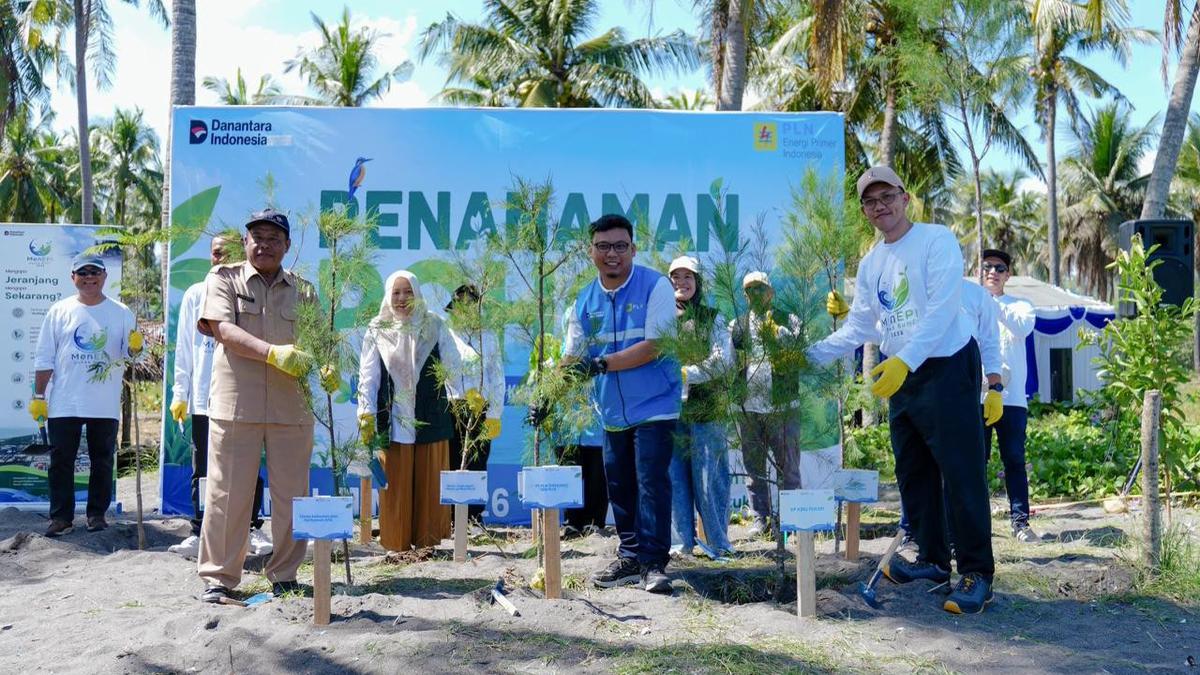 PLN EPI Tanam 2.500 Pohon Cemara Udang di Pantai Induk Lombok, Bentengi Pesisir dari Abrasi yang Mengancam Permukiman