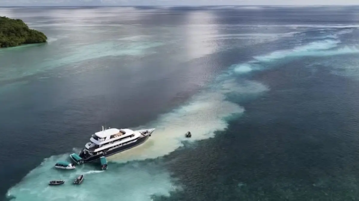 Kapal Wisata KM Seaisee I Kandas di Perairan Maratua, KUPP Evaluasi Operasional dan Kejari Berau Ancang Jerat Hukum Pelaku