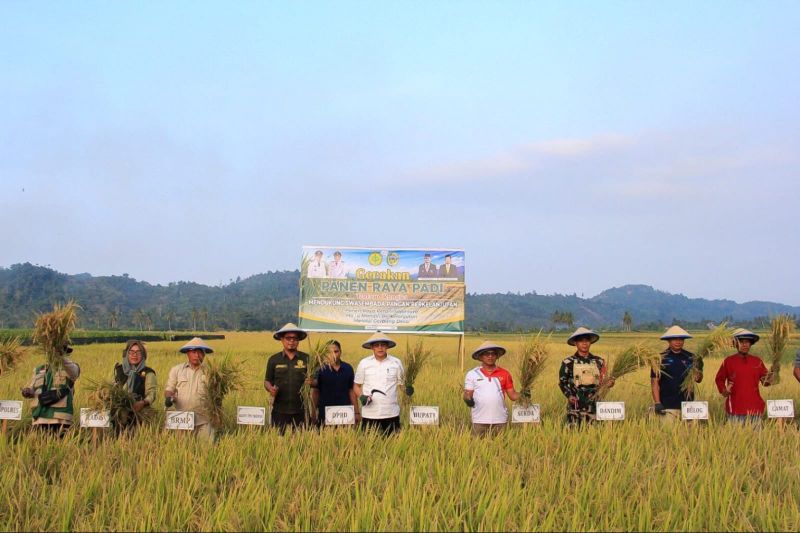 Pemkab Parimo Salurkan Benih Padi M70D untuk 13.065 Hektare Lahan, Bupati Targetkan Produksi Pangan Menguat