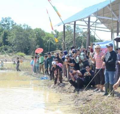 Bupati Balangan Abdul Hadi Ikut Lomba Tangkap Ikan di Sungai, Tradisi Bagagap Iwak Kembali Digelar
