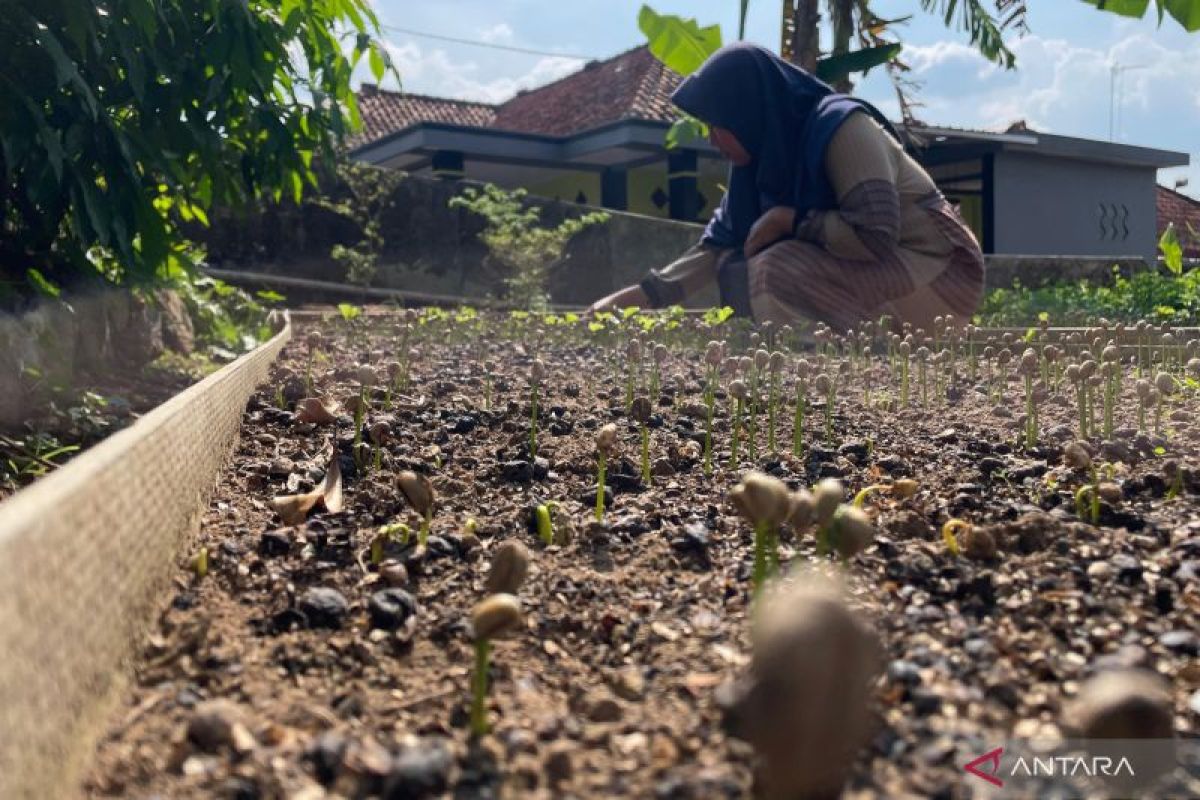 Pemkab Kuningan Perketat Perizinan Usaha, Realisasi Investasi Semester I 2026 Tembus Rp 880 Miliar